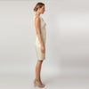 CN7173_Boat Neck Bow Sheath - Cenia New York